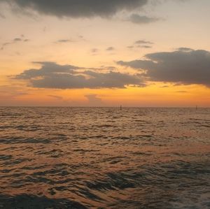 Meet your Posher, Lena